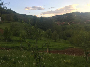 Hotels in Tešanj
